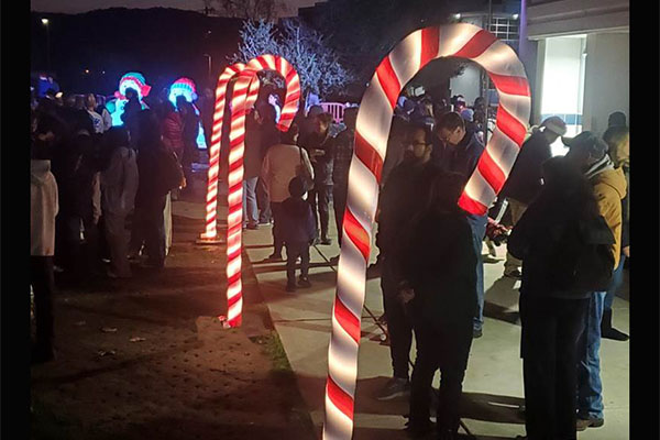 LED Candy Cane